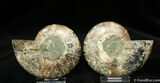 Inch Polished Pair From Madagascar #1065-2